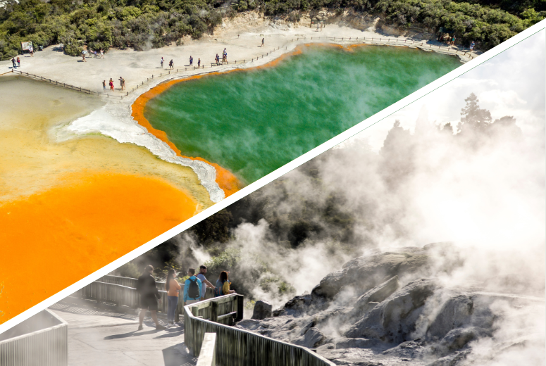 Rotorua Highlights including Wai-O-Tapu & Te Puia Small Group Tour from Auckland - Photo 1 of 19